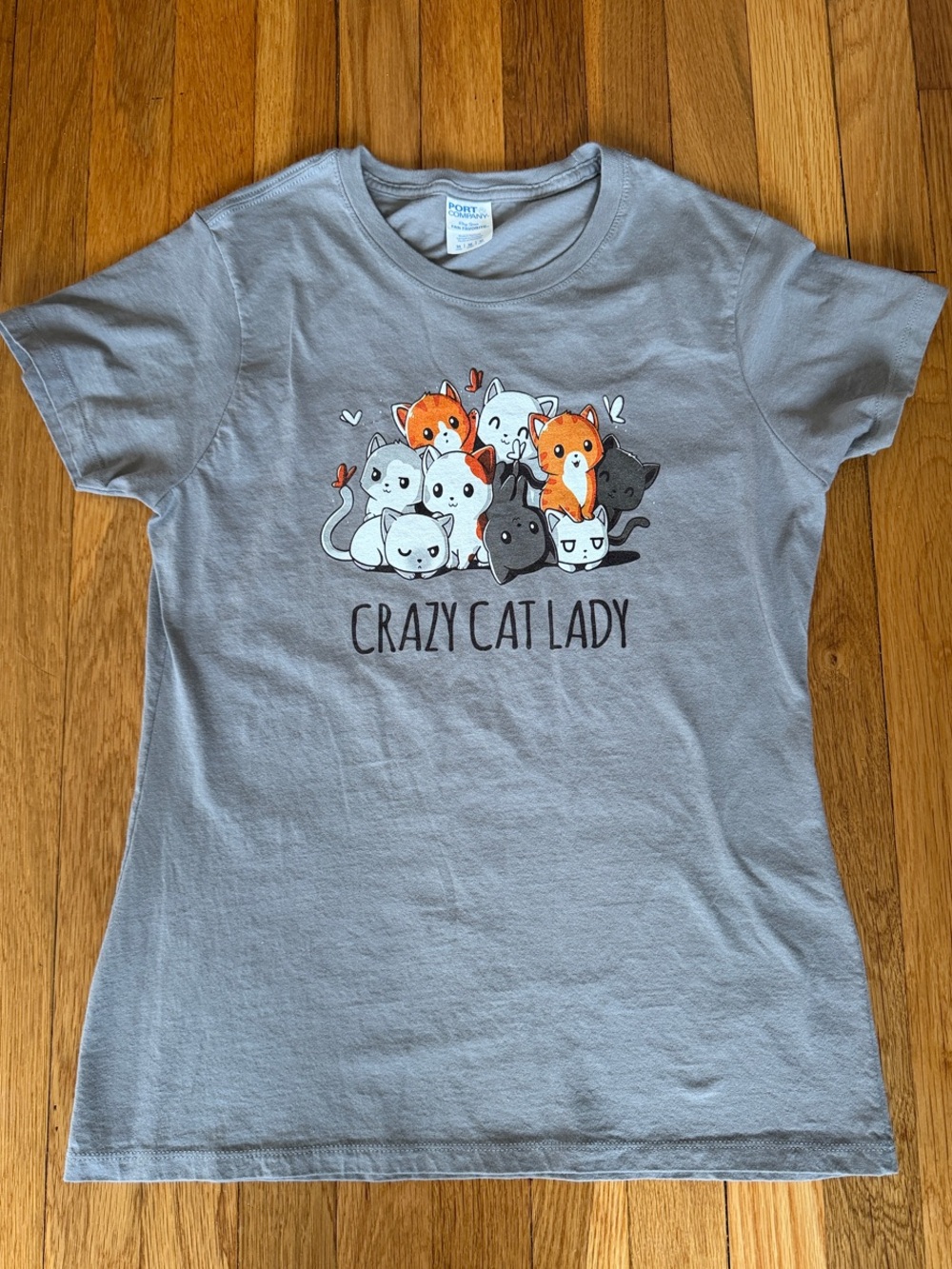 Crazy Cat Lady Gray Graphic Tee Port & Company Cat Mom Y2K Shirt, Size M
